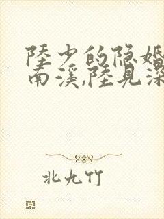 陆少的隐婚罪妻南溪,陆见深