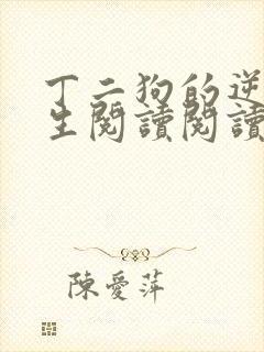 丁二狗的逆袭人生阅读阅读全文封面