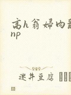 高h翁妇肉乱文np封面