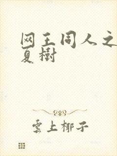 网王同人之桃生夏树