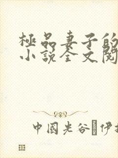 极品妻子的背叛小说全文阅读