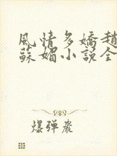 风情多娇赵大宝苏媚小说全文阅读