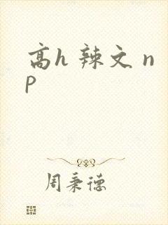 高h 辣文 np