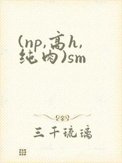 (np,高h,纯肉)sm