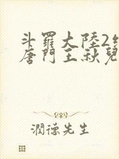 斗罗大陆2绝世唐门王秋儿封面