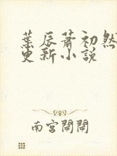 叶辰萧初然最快更新小说