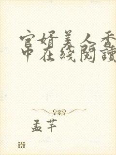 官婿美人香刘志中在线阅读