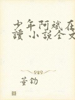 少年阿斌在线阅读 小说全文免费