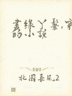 书缘丫鬟,穿越的小说