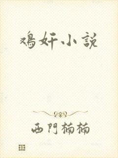 鸡奸小说