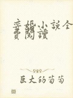弈婚小说全文免费阅读