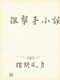 狙击手小说封面
