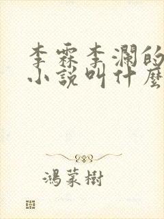 李霖李澜的官场小说叫什么名字啊