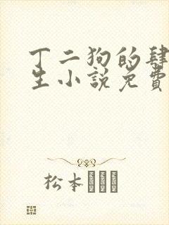 丁二狗的肆意人生小说免费阅读
