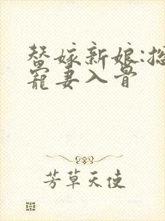 替嫁新娘:总裁宠妻入骨封面