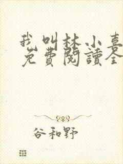 我叫林小喜全文免费阅读全文封面