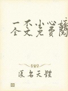 一不小心嫁总裁全文免费阅读封面