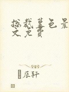 总裁暮色晨婚全文免费