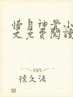 惜月神骨小说全文免费阅读封面