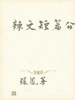 辣文短篇公交车封面