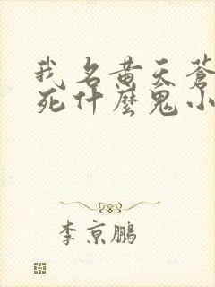 我名黄天苍天已死什么鬼小说笔趣阁无删减