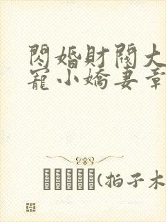 闪婚财阀大叔强宠小娇妻章节