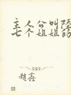 主人公叫陆云有七个姐姐的小说