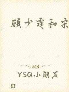 顾少霆和宋斯曼