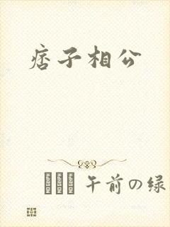 痞子相公