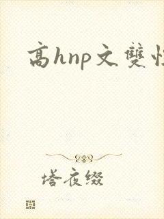 高hnp文双性封面