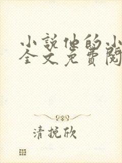 小说他的小野猫全文免费阅读封面