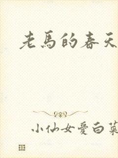 老马的春天敏静