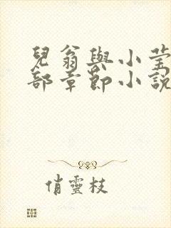 儿翁与小莹的全部章节小说