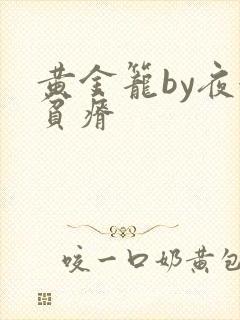 黄金笼by夜很贫瘠封面