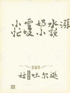 小雪奶水涨公帮忙吸小说封面
