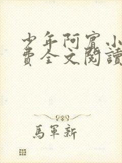 少年阿宾小说免费全文阅读无删减