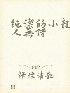 纯洁的小龙捞尸人无错封面