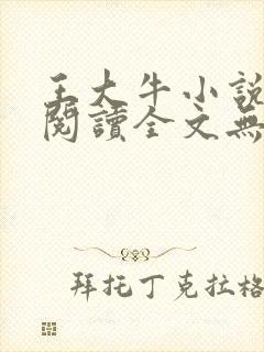 王大牛小说免费阅读全文无弹窗