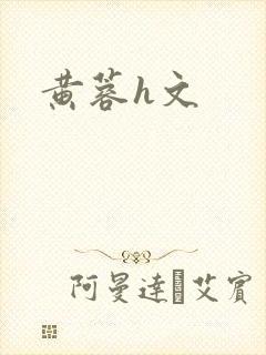 黄蓉h文封面