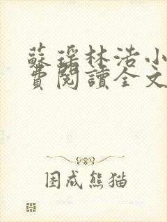 苏瑶林浩小说免费阅读全文最新章节封面