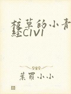 校草的小青梅不经C1V1