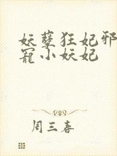 妖孽狂妃邪君溺宠小妖妃封面