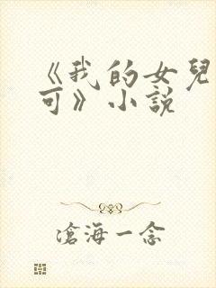 《我的女儿叫小可》小说