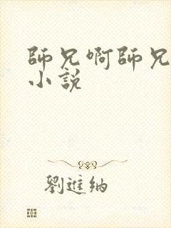 师兄啊师兄原著小说封面