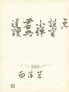 道君小说免费阅读无弹窗