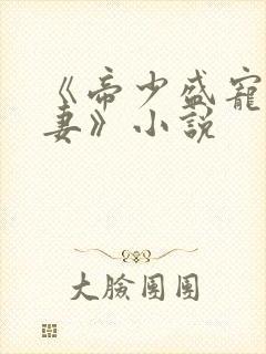 《帝少盛宠呆萌妻》小说封面