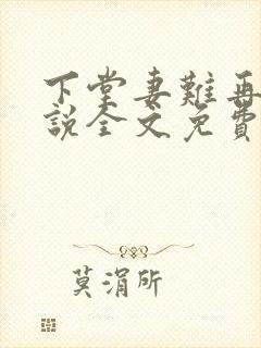 下堂妻难再娶小说全文免费阅读