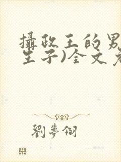 摄政王的男妃(生子)全文免费阅读封面