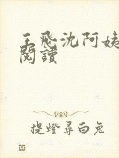 王飞沈阿姨免费阅读封面