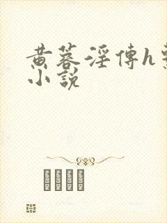 黄蓉淫传h系列小说封面
